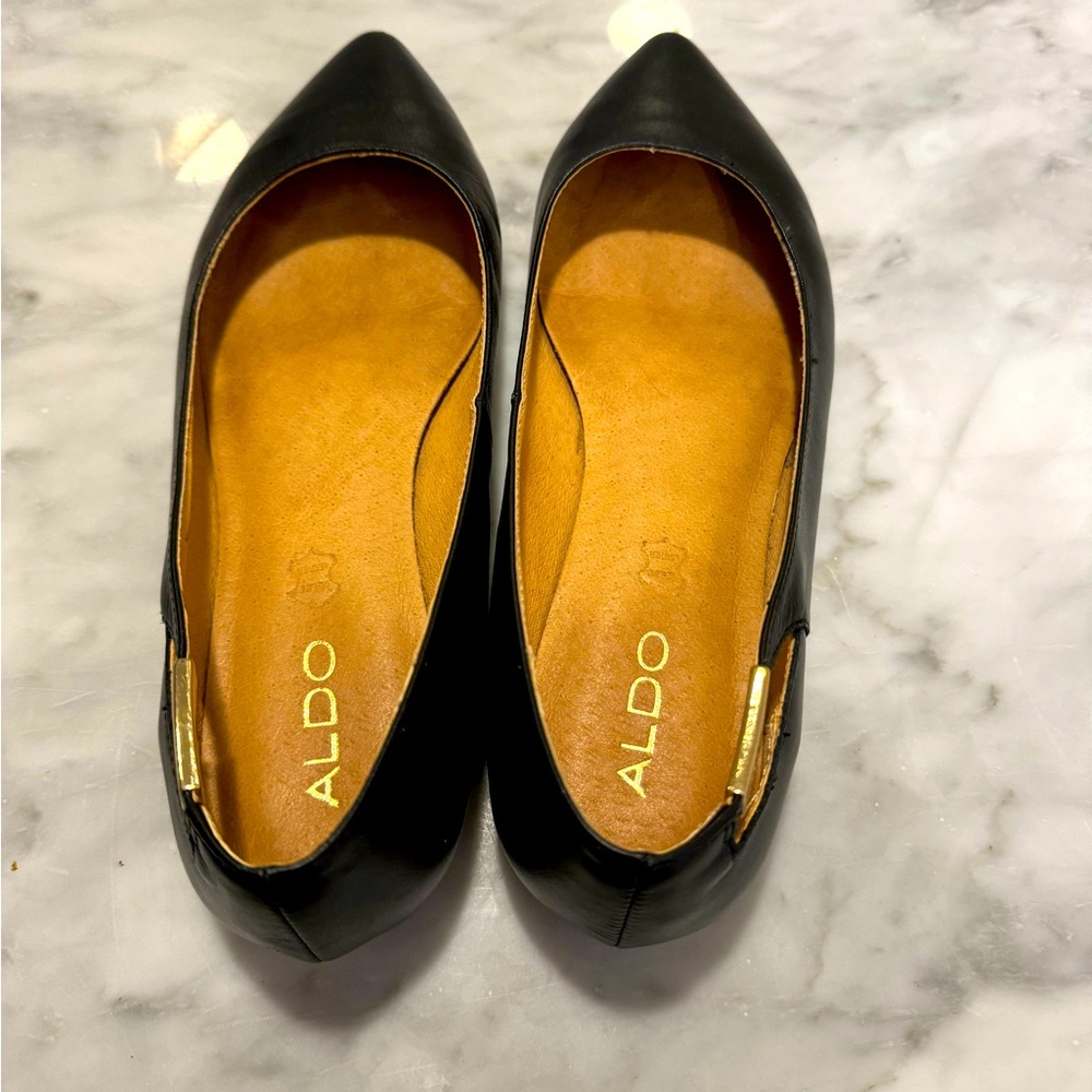 Aldo pointed toe flats